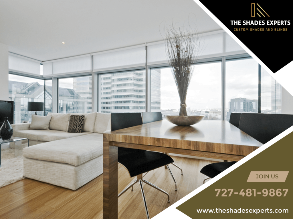 Roller shades Tampa
